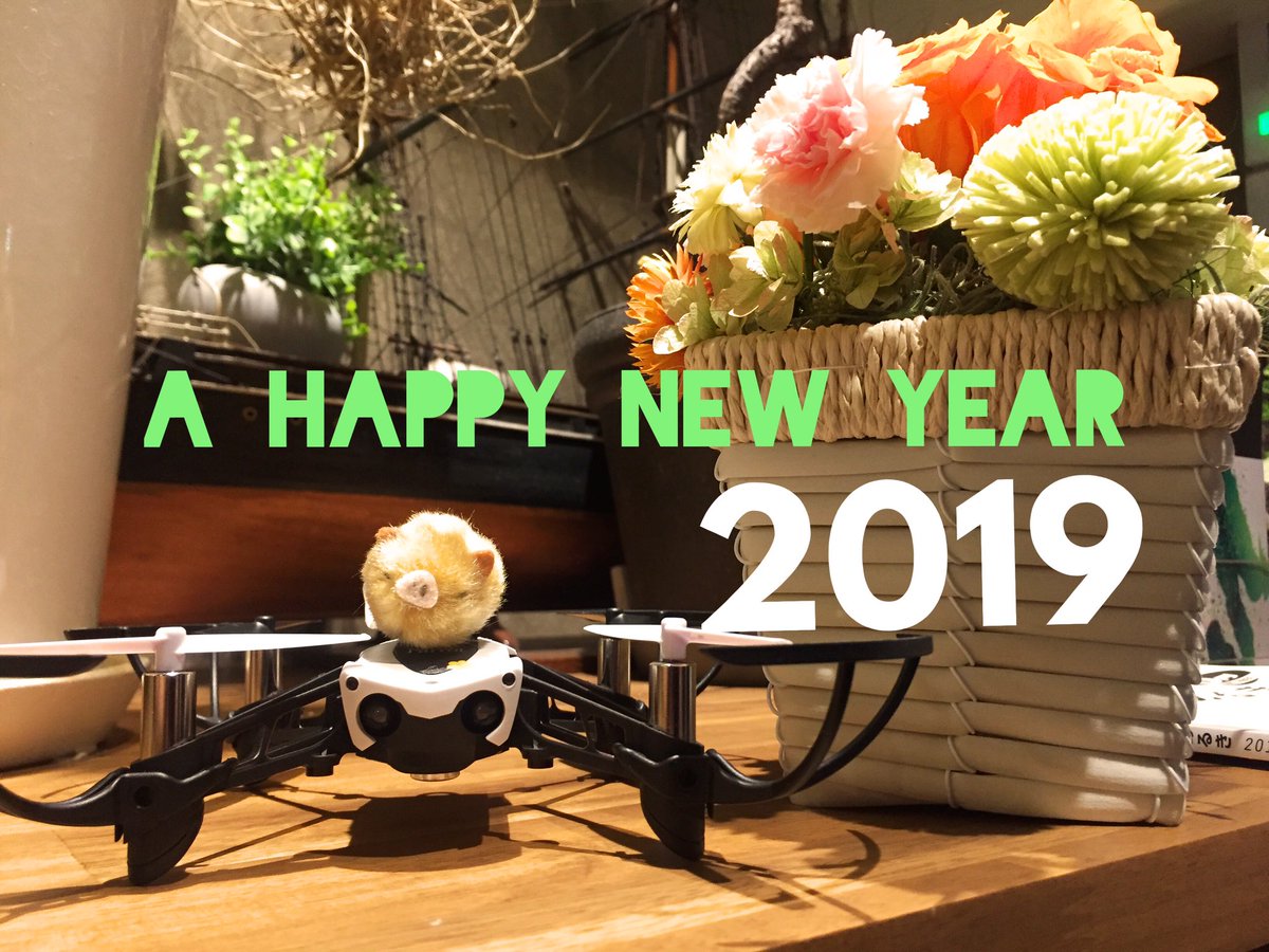 2019年 ドローン 最新情報